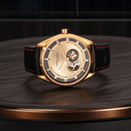 PIERRE CARDIN CF.1029.LB