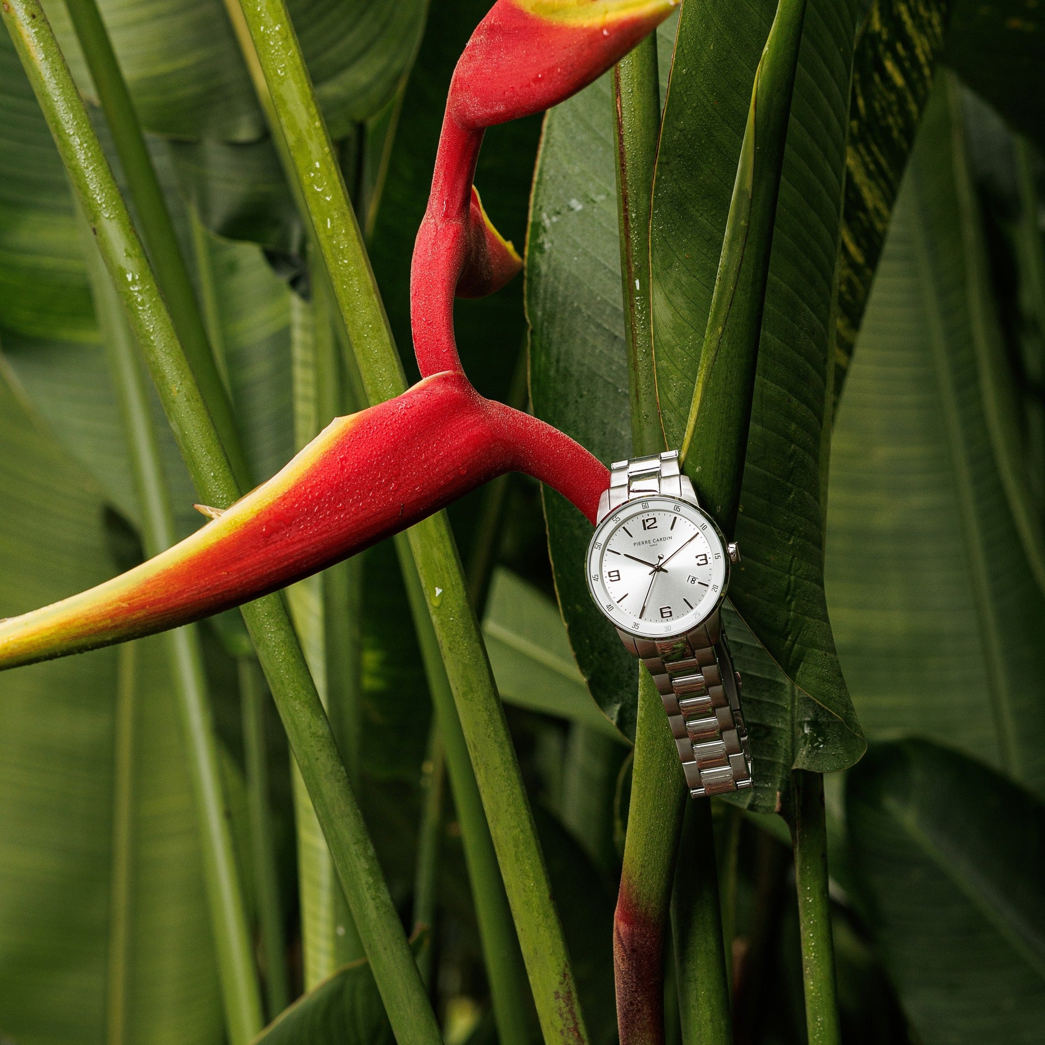 PIERRE CARDIN  CMR.0006
