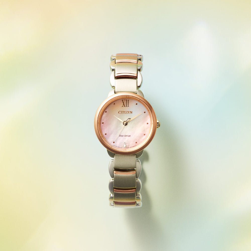 CITIZEN EM0924-85Y