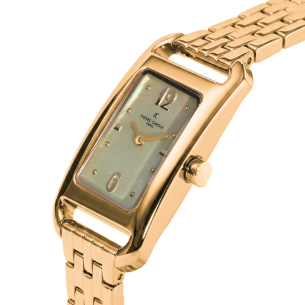 PIERRE CARDIN CF.1039.MG